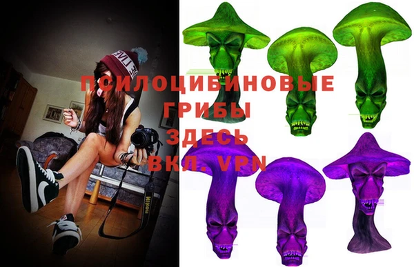 спиды Алексеевка