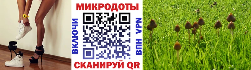Псилоцибиновые грибы GOLDEN TEACHER  закладки  Шатура 