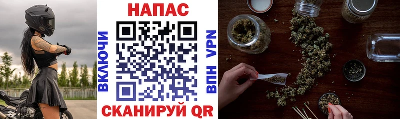 дарк нет наркотические препараты  Шатура  Конопля гибрид  ОМГ ОМГ сайт 
